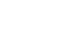 Novo Nordisk® Bull